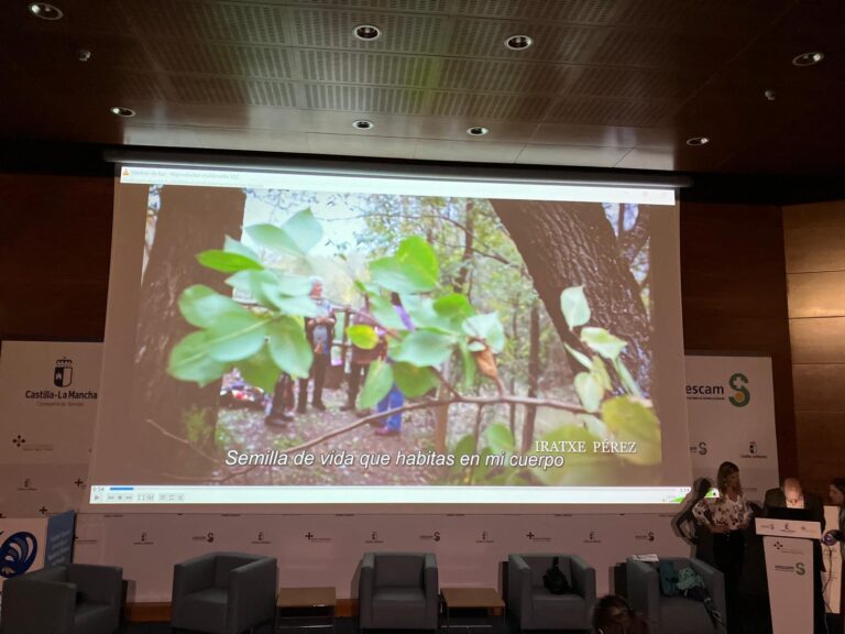 Dia hospital proyeccion